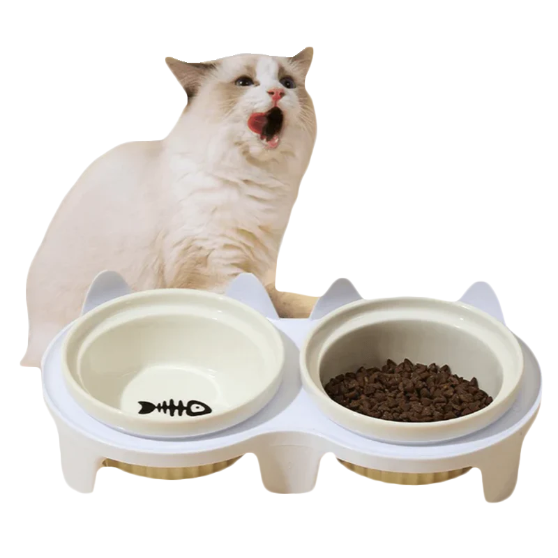 Elevated Ceramic Cat Bowl - Shop for less