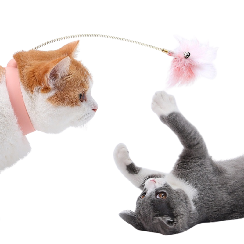 Cat Collar Toy - Shop for less