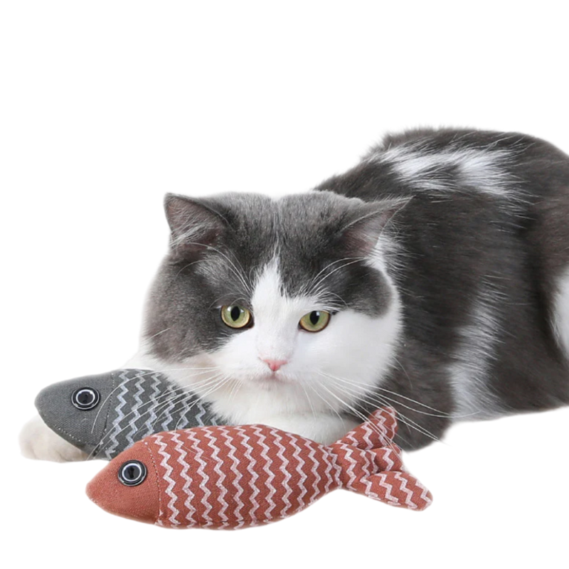 Fish Catnip Toy - Shop for less