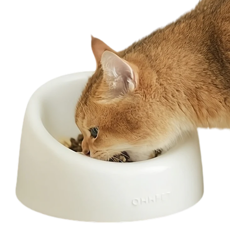 Ceramic Cat Bowl - Shop for less