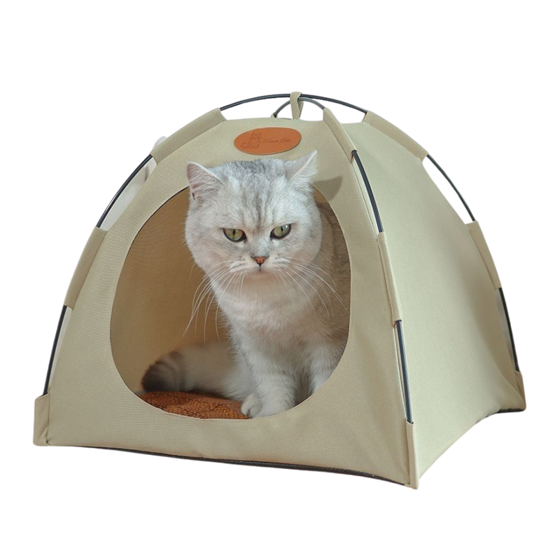 Cat Tent - Shop for less