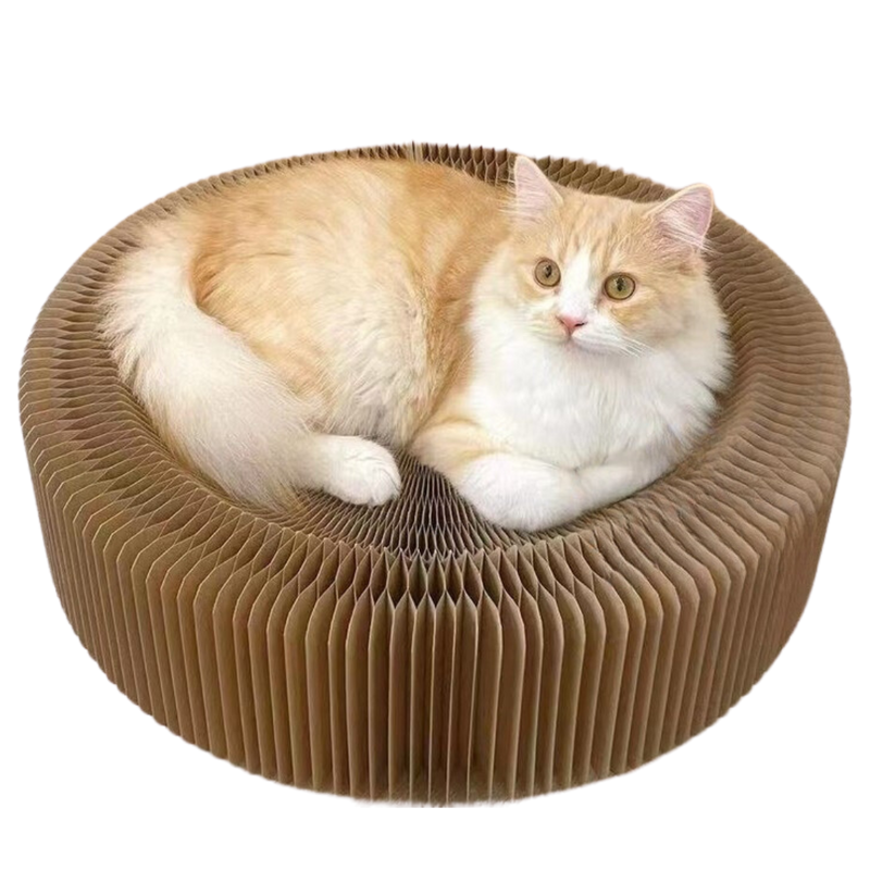 Magical Scratcher Bed - Shop for less