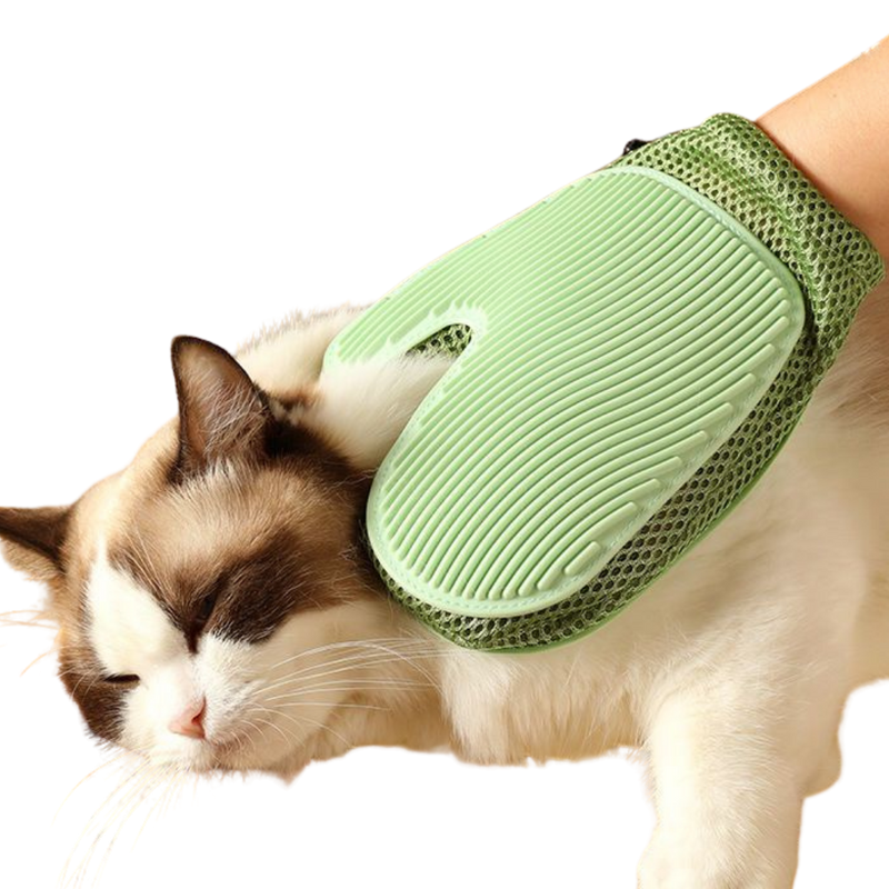 2-in-1 Cat Glove - Shop for less