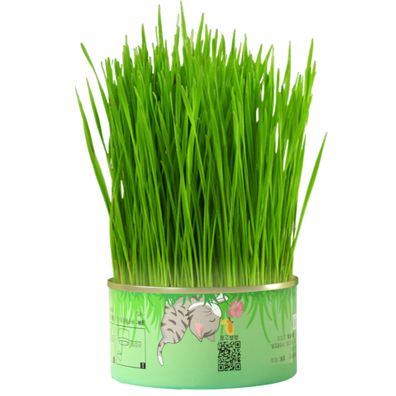 Fresh Canned Grass - Shop for less