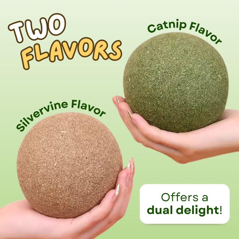 Jumbo Catnip Ball - Shop for less