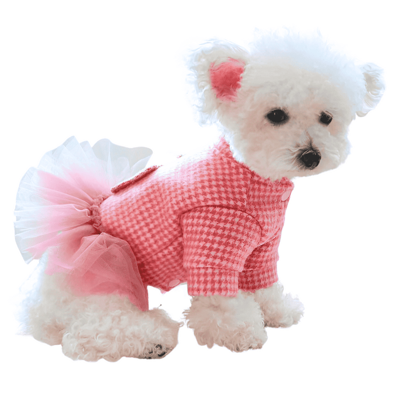 Ballet Bear Pet Dress - Shop for less