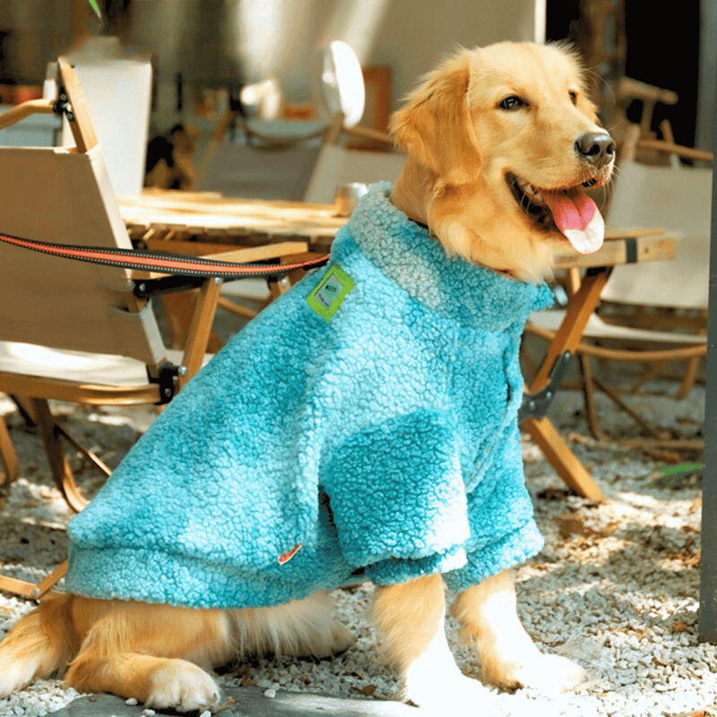 Cold clothing for medium and large dogs - Pet Deluxe - Shop for less