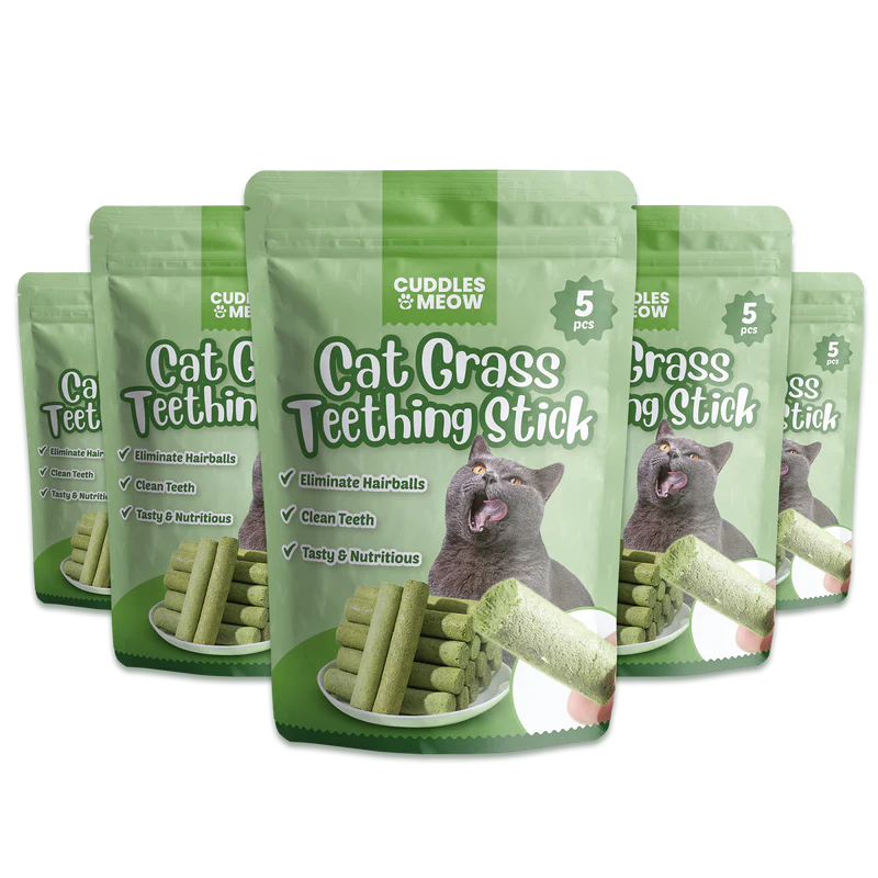 Cat Grass Teething Stick - Shop for less