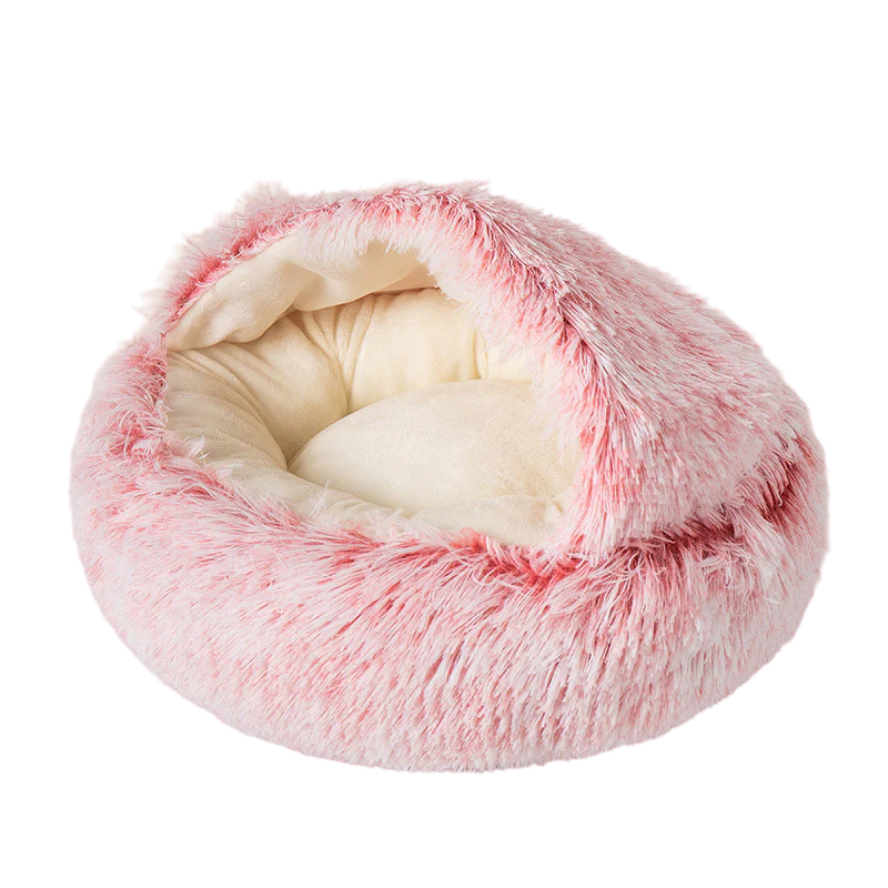 Seashell Bed - Shop for less