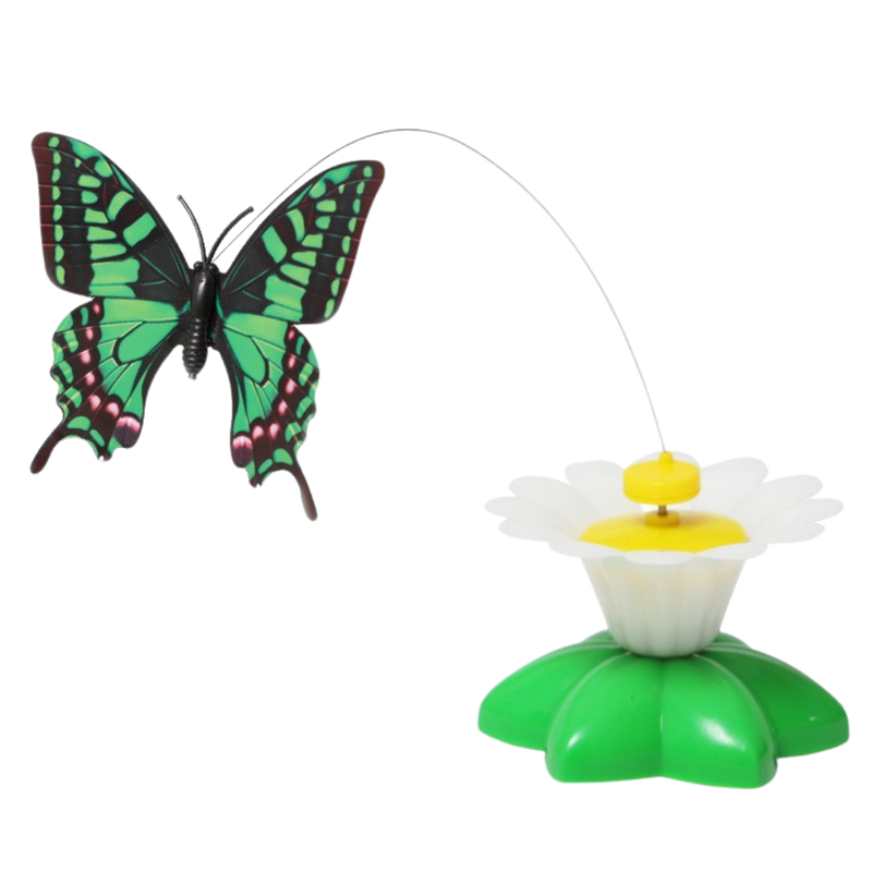 Buzzing Bird Toy - Shop for less