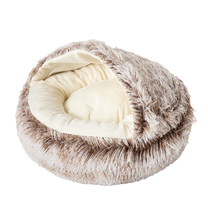 Seashell Bed - Shop for less