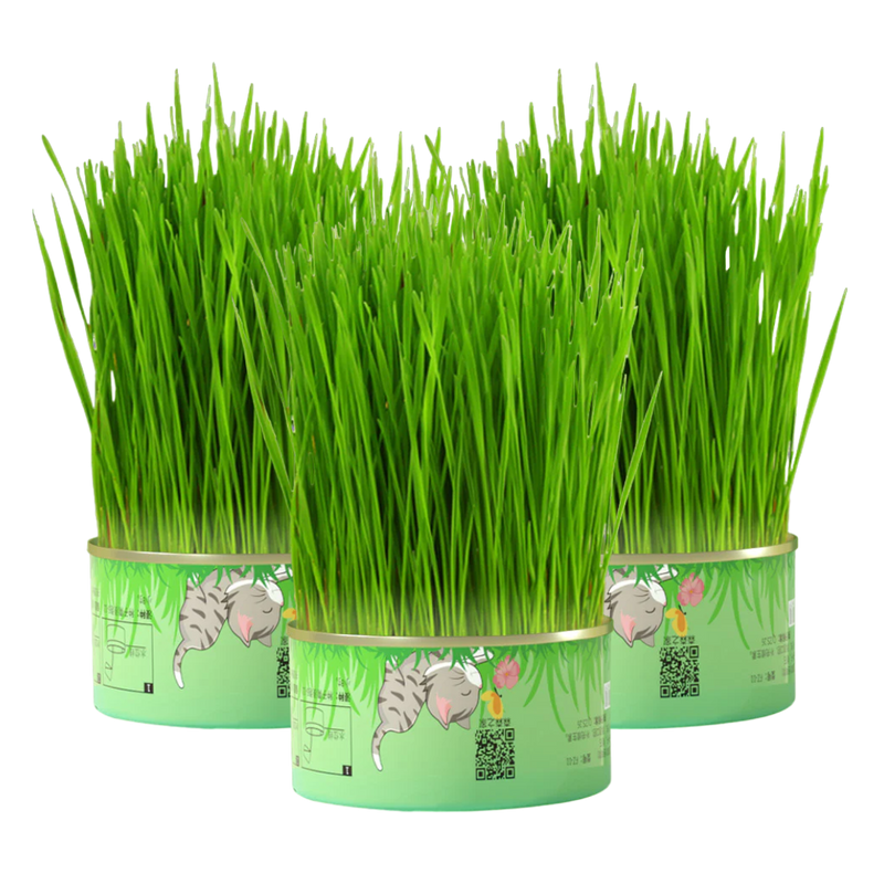 Fresh Canned Grass - Shop for less