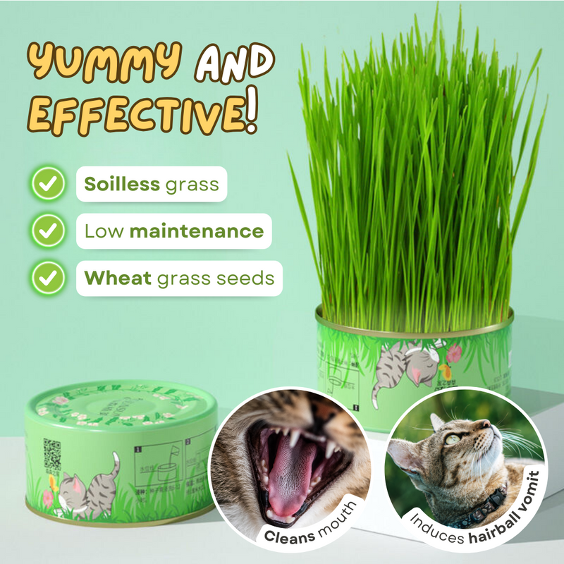 Fresh Canned Grass - Shop for less