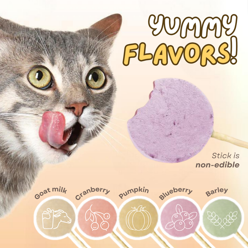 Lollipop Cat Treat (25 pcs) - Shop for less