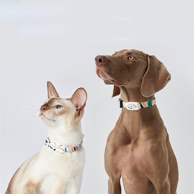 Trackable Smart Collar - Pet BBB - Shop for less