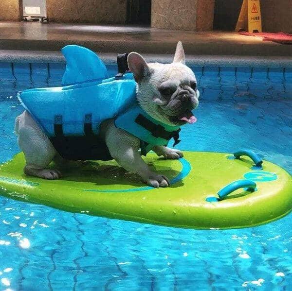 Shark Life Jacket - SharkDog - Shop for less