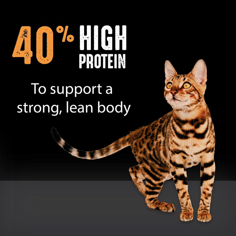 Grain Free Adult Dry Cat Food with Protein from Chicken, 4 Lb. Bag - Shop for less