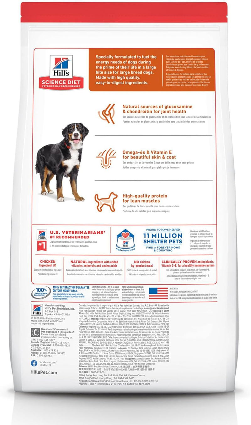 Dry Dog Food, Adult, Large Breed, Chicken & Barley Recipe, 15 Lb. Bag - Shop for less