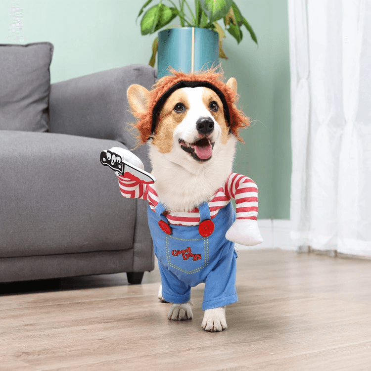 Dog Costume - Chucky - Shop for less