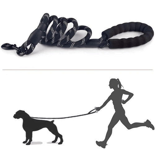 1.5M Strong and Reflective Guide Collar with Comfortable Padding - Shop for less