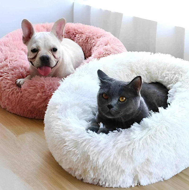 Premium Cloud Bed for Dogs and Cats - Soft Bed - Shop for less