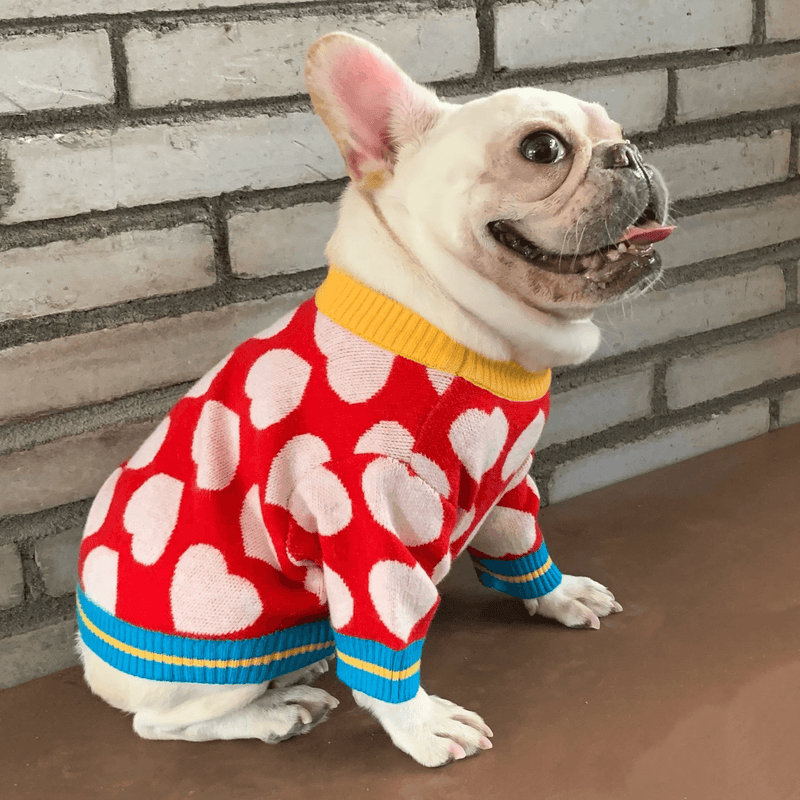 Knitted Sweater Clothes for Dogs - Pet Date - Shop for less