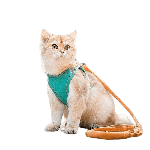 Anti-escape collar for cats - Smart Cat - Shop for less