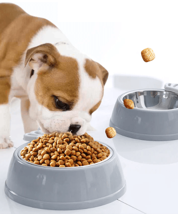 Stainless Steel Pet Feeder Bowl - Shop for less