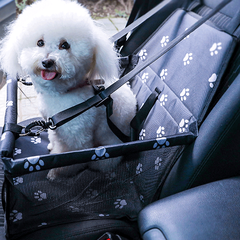 Pet Seat for Dogs - Cardog - Shop for less