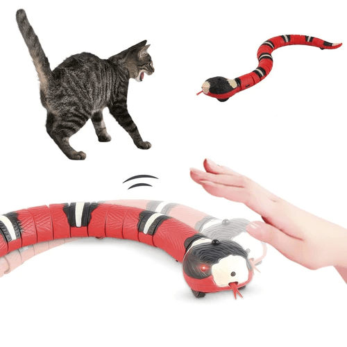 Cat Toy - Smart Snake with USB - Shop for less