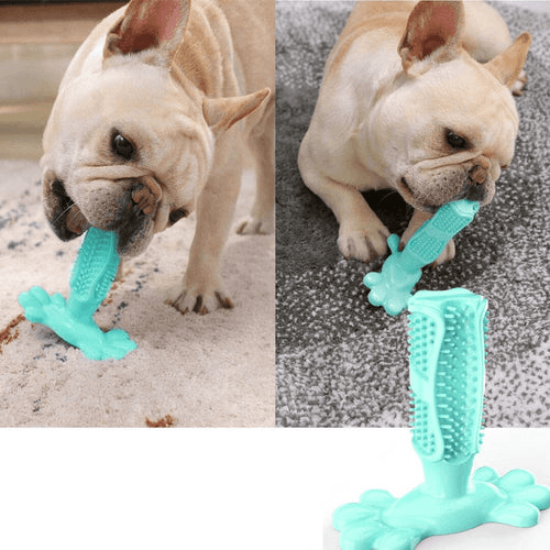 Dog Teether for Teeth Cleaning - Pet Gum - Shop for less