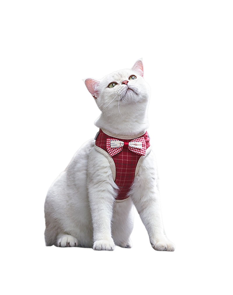 Cat Collar with Adjustable Guide - Shop for less