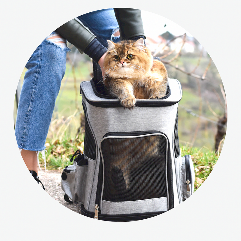 Foldable and Expandable Cat Carrier Bag - Shop for less