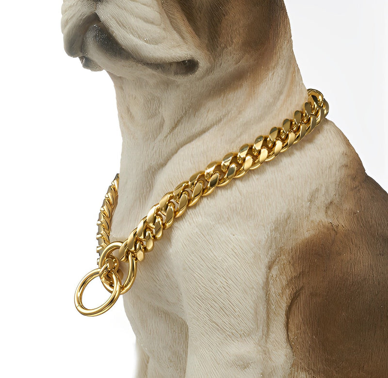 Gold Plated Stainless Steel Dog Collar - Shop for less