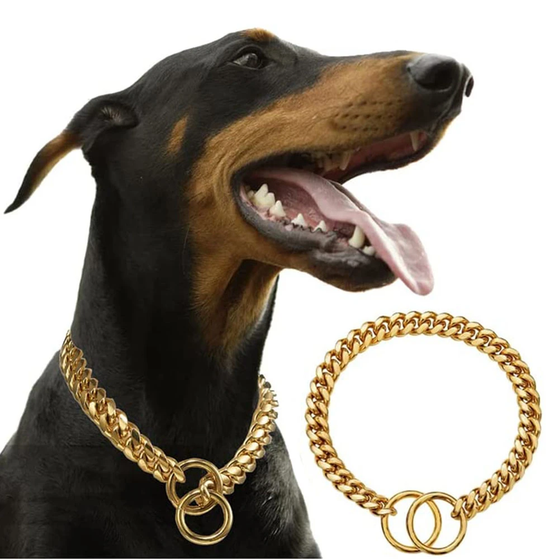 Gold Plated Stainless Steel Dog Collar - Shop for less