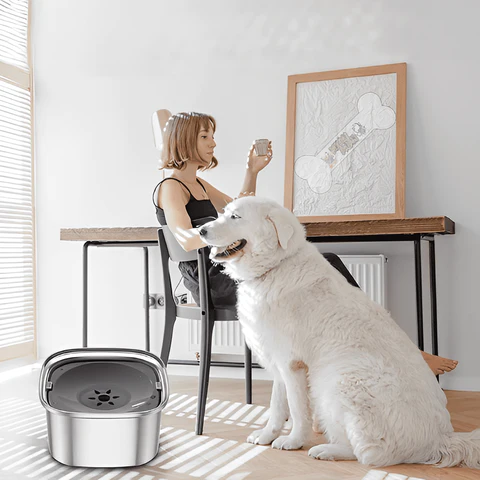 Smart Anti Splash Dog Drinking Fountain 3L Stainless Steel - Shop for less