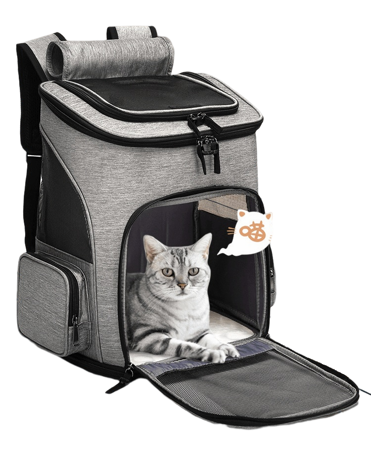 Foldable and Expandable Cat Carrier Bag - Shop for less